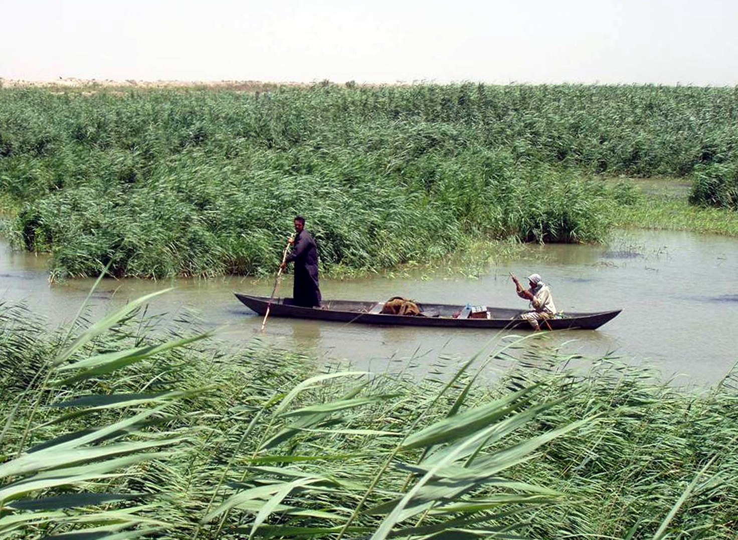 Mesopotamian Marshes optional branch route image