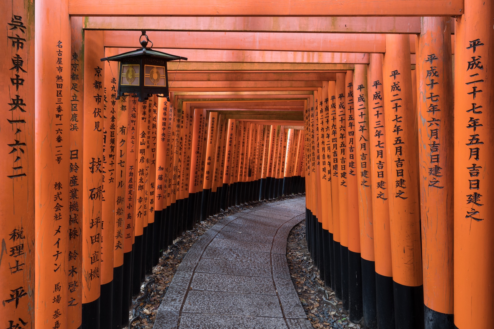 Fushimi Inari Trip Perspectives