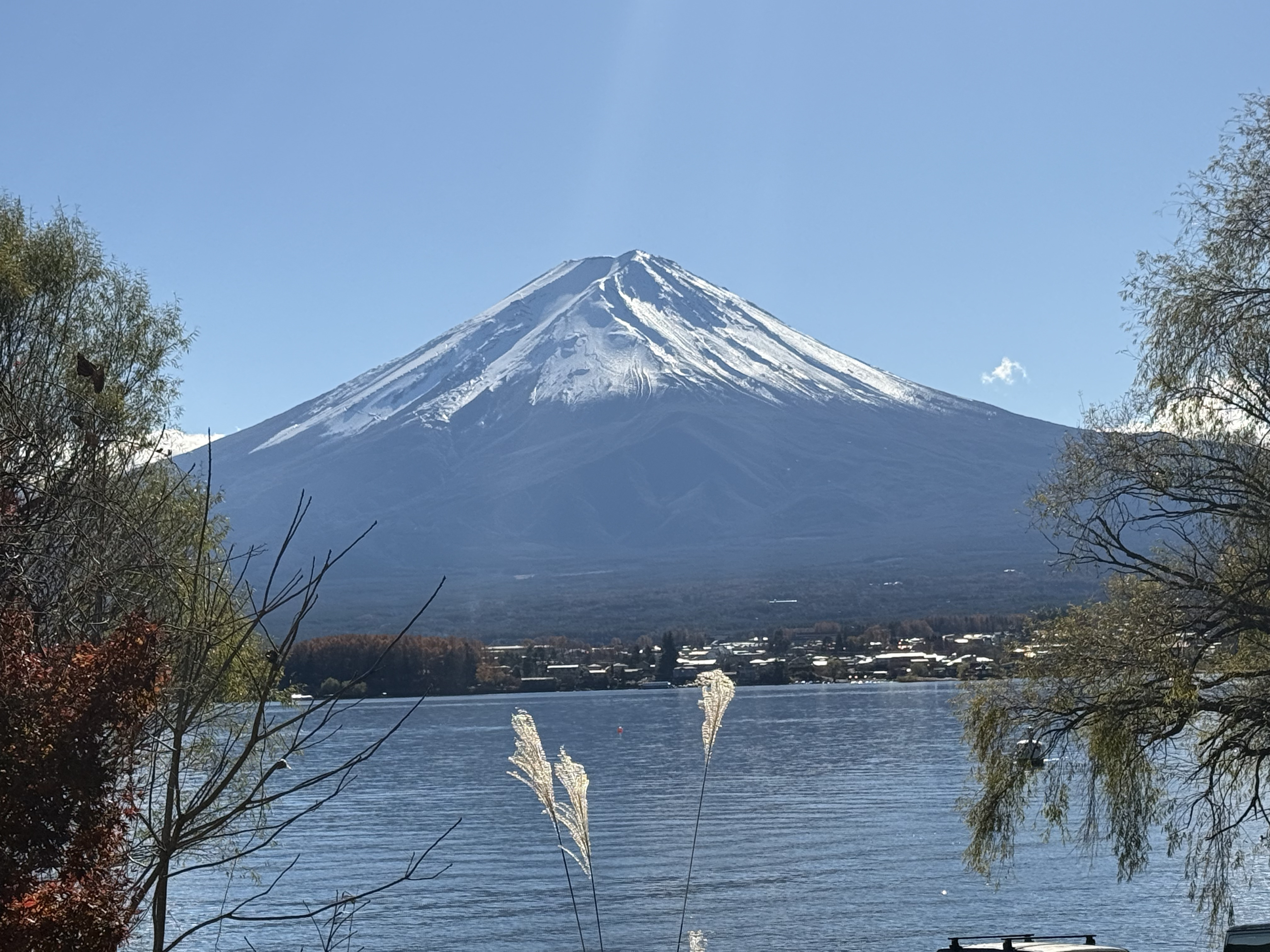 Mount Fuji Trip Perspectives