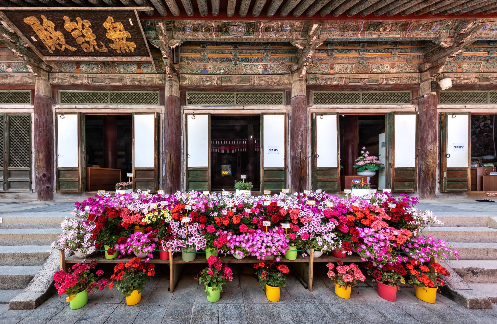 Gyeongju Travel Perspectives