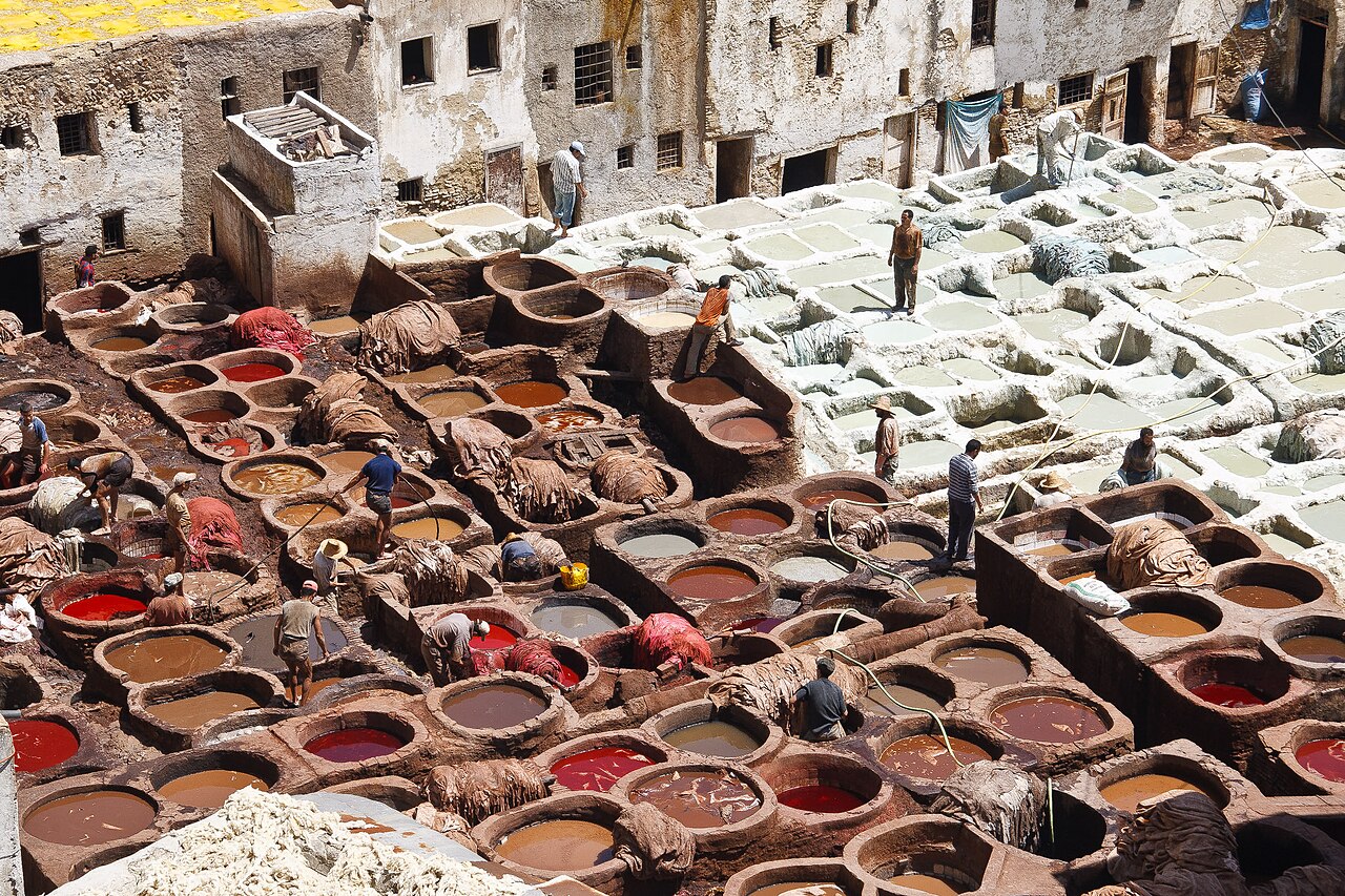 Fes: The Medina, Tannery, and Oldest University Route Photos