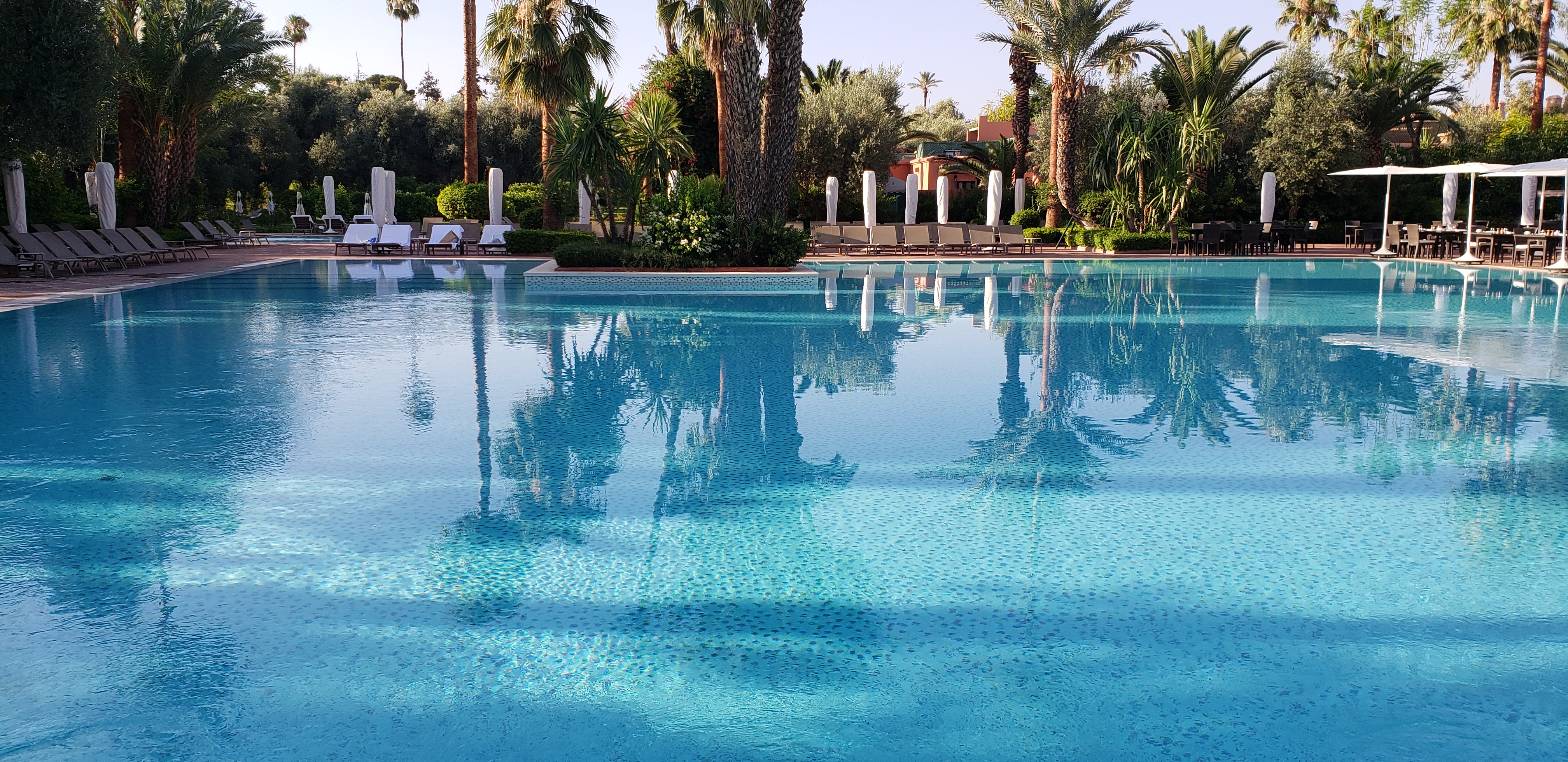 Riad Kniza Արտաքին տեսք
