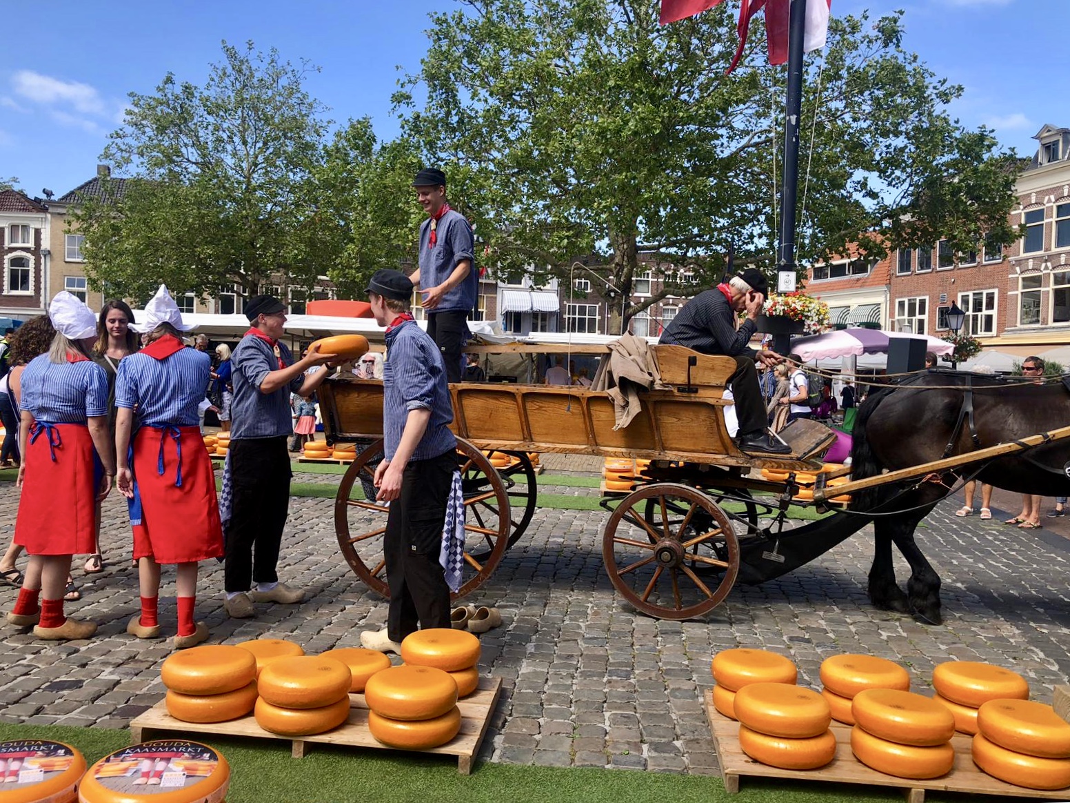 ሙዚየምፕላይን (Museumplein) ማታ
