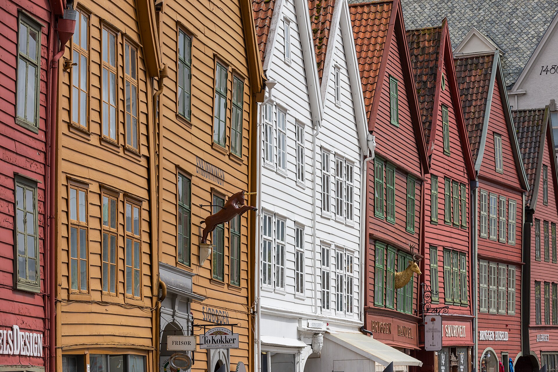 Bergen Line Travel Perspectives