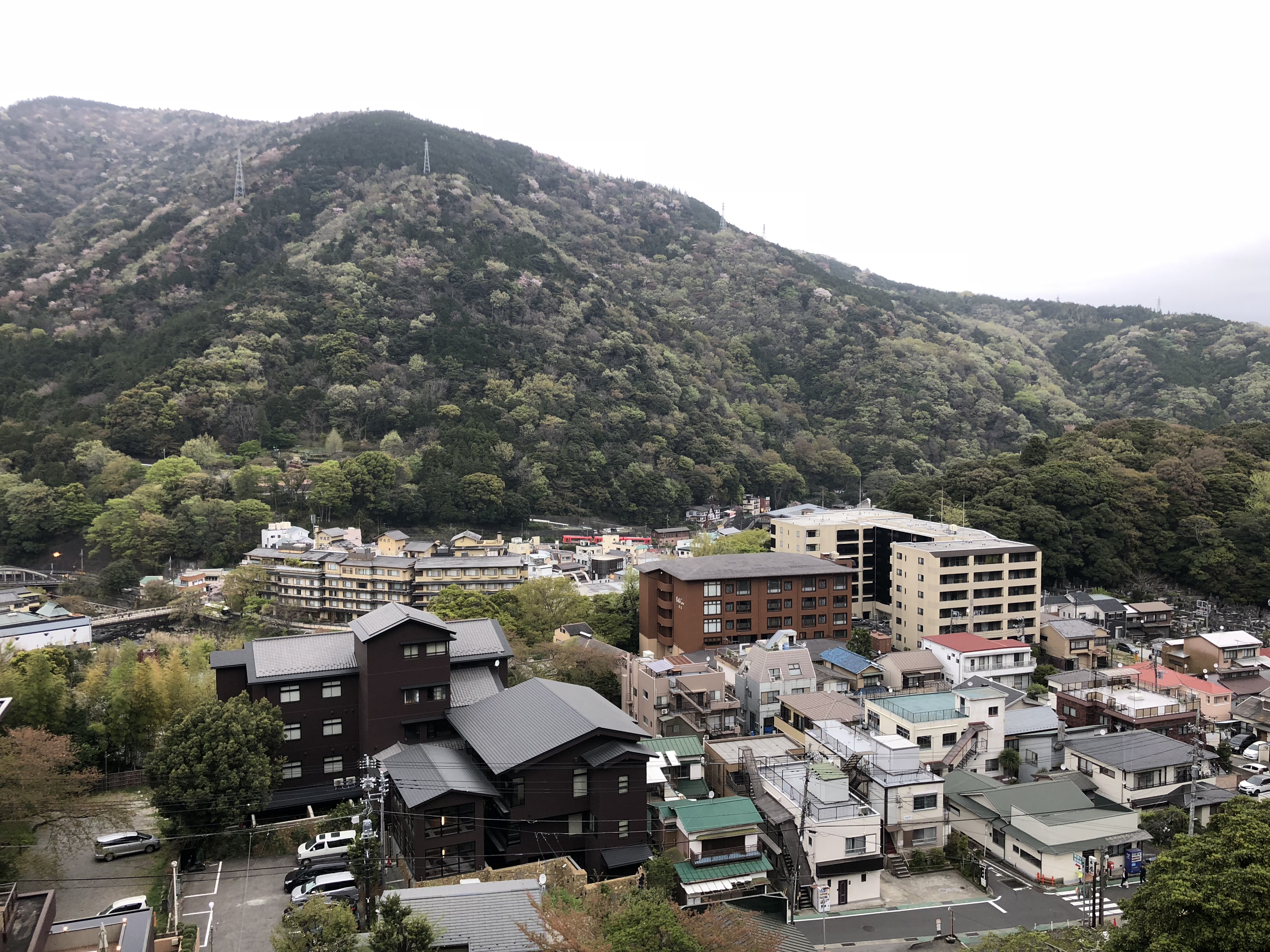 Onsen / Sento (Onsen / Sento)