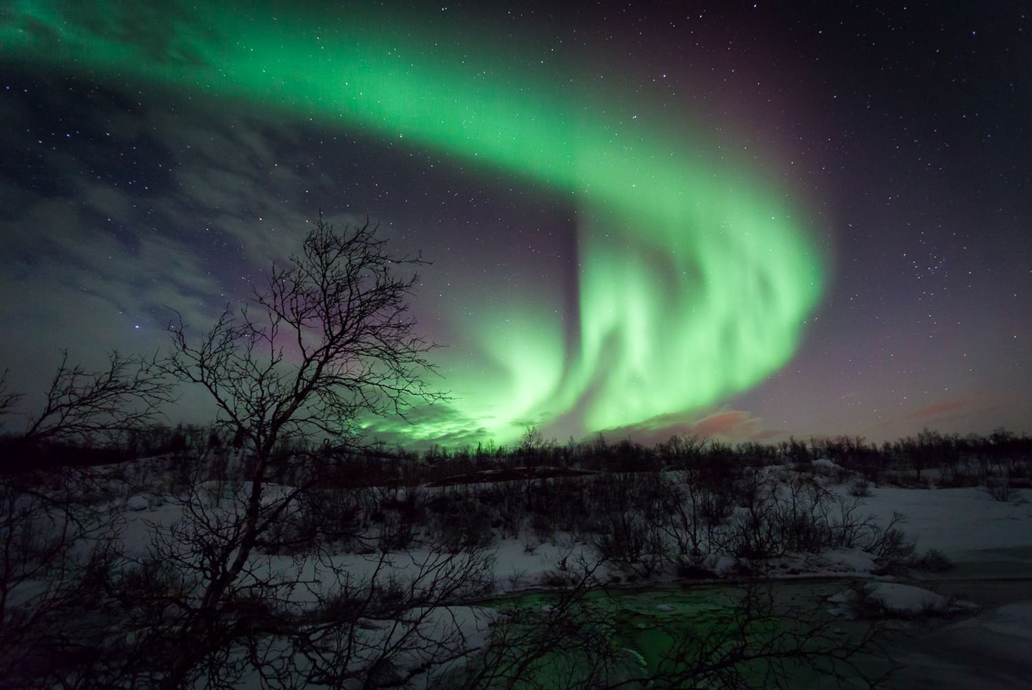 Tromsø Northern Lights Night