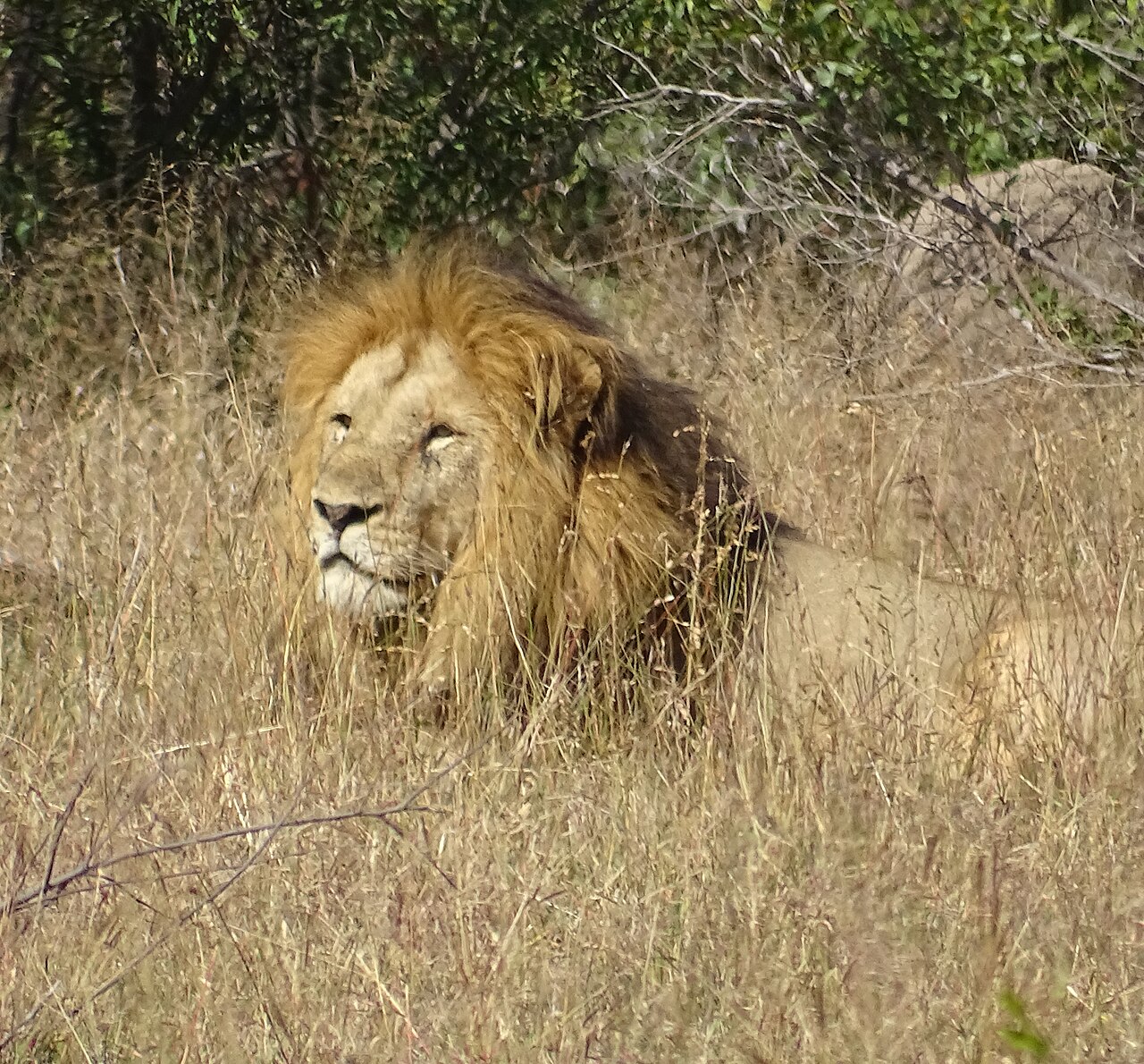 Kruger: Let Wildlife Reset Your Sense of Time Route Images