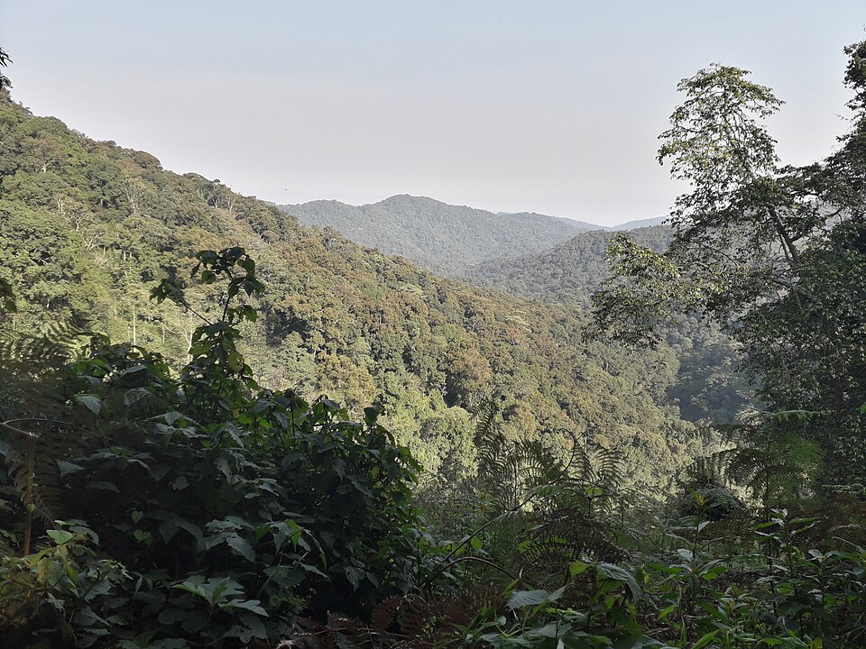 Bwindi Impenetrable Forest travel view