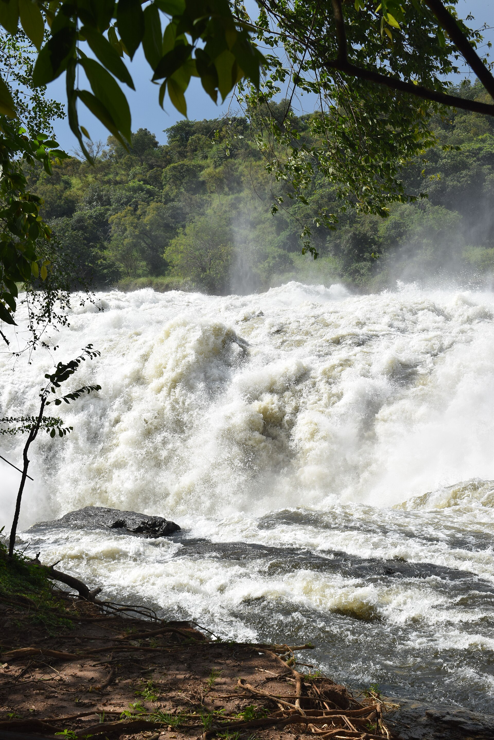 Murchison Falls travel view